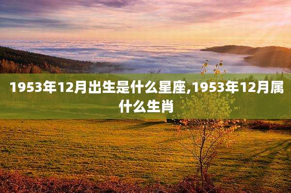 1953年12月出生是什么星座,1953年12月属什么生肖