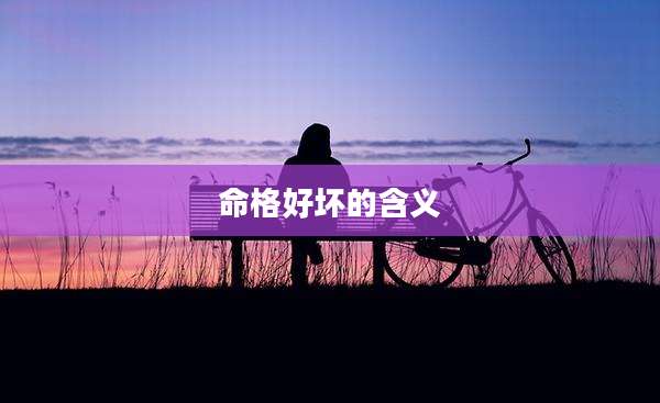 命格好坏的含义