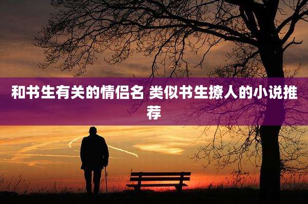 和书生有关的情侣名 类似书生撩人的小说推荐