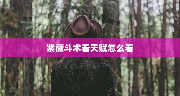 紫薇斗术看天赋怎么看