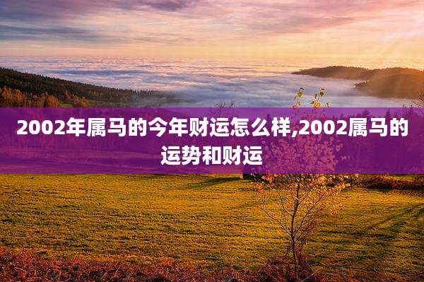 2002年属马的今年财运怎么样,2002属马的运势和财运
