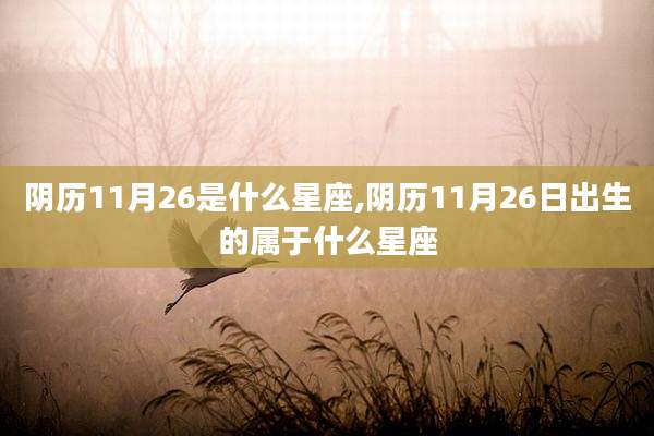 阴历11月26是什么星座,阴历11月26日出生的属于什么星座