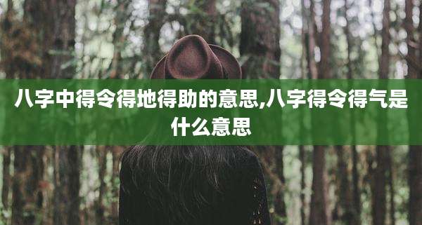 八字中得令得地得助的意思,八字得令得气是什么意思