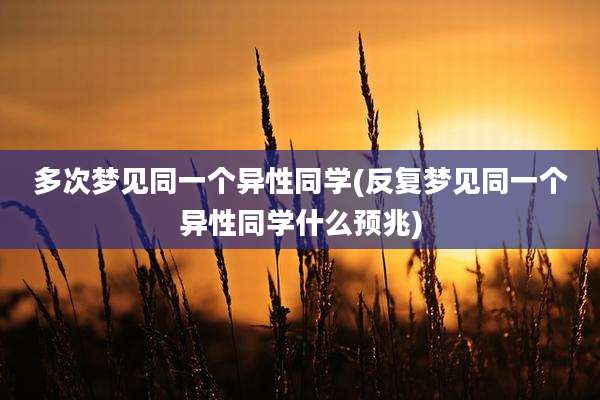 多次梦见同一个异性同学(反复梦见同一个异性同学什么预兆)