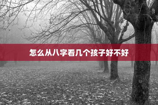 怎么从八字看几个孩子好不好