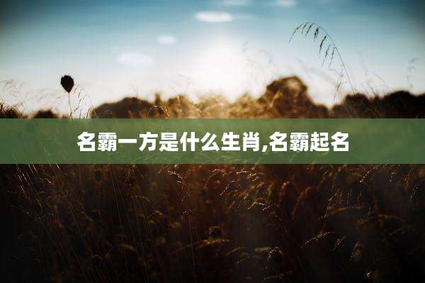 名霸一方是什么生肖,名霸起名