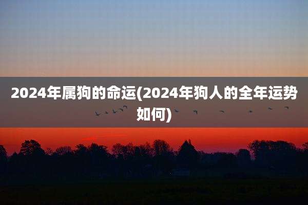 2024年属狗的命运(2024年狗人的全年运势如何)