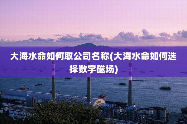 大海水命如何取公司名称(大海水命如何选择数字磁场)