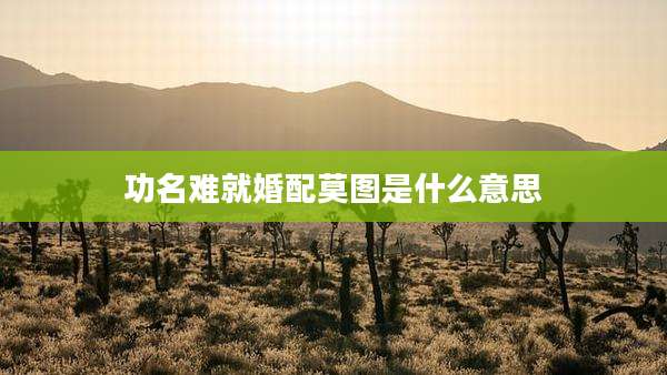 功名难就婚配莫图是什么意思