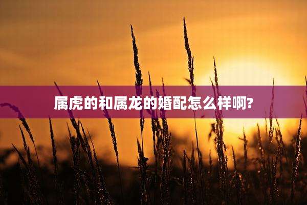 属虎的和属龙的婚配怎么样啊?