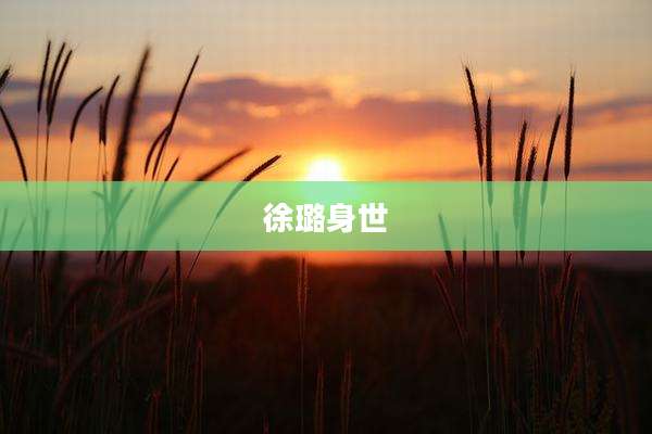 徐璐身世