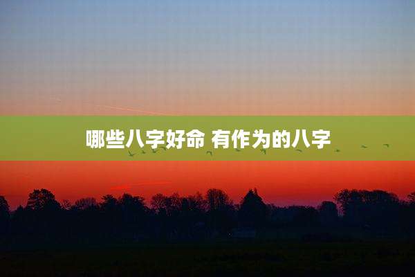 哪些八字好命 有作为的八字