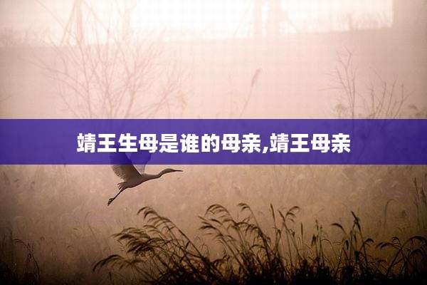 靖王生母是谁的母亲,靖王母亲