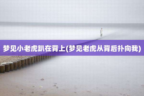 梦见小老虎趴在背上(梦见老虎从背后扑向我)