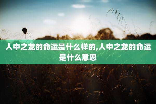 人中之龙的命运是什么样的,人中之龙的命运是什么意思