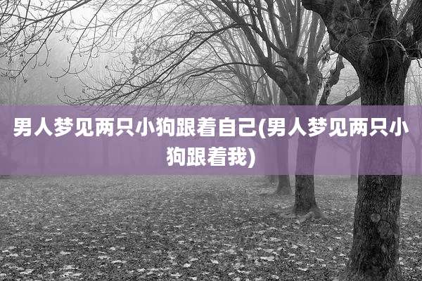 男人梦见两只小狗跟着自己(男人梦见两只小狗跟着我)