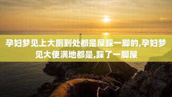 孕妇梦见上大厕到处都是屎踩一脚的,孕妇梦见大便满地都是,踩了一脚屎