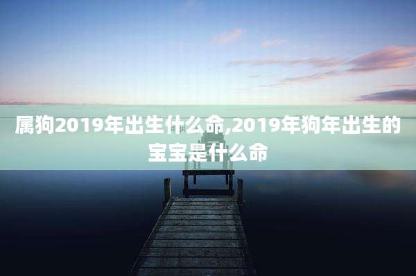 属狗2019年出生什么命,2019年狗年出生的宝宝是什么命