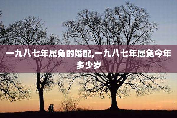 一九八七年属兔的婚配,一九八七年属兔今年多少岁