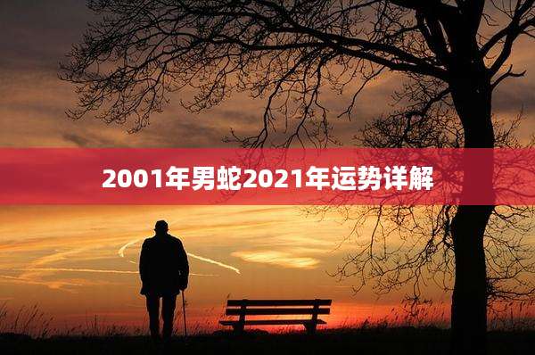 2001年男蛇2021年运势详解