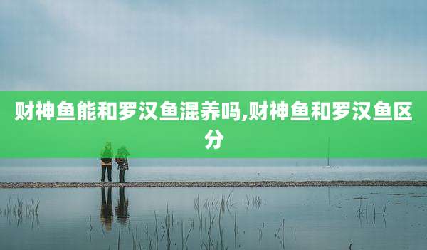 财神鱼能和罗汉鱼混养吗,财神鱼和罗汉鱼区分