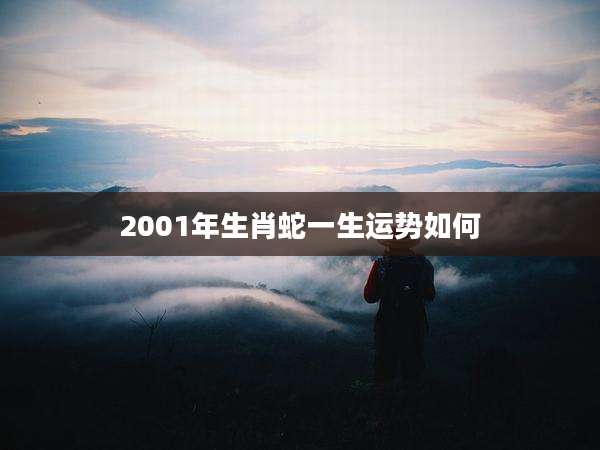 2001年生肖蛇一生运势如何