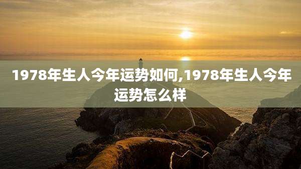 1978年生人今年运势如何,1978年生人今年运势怎么样