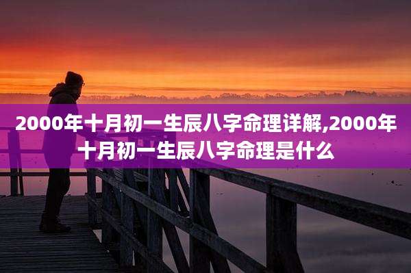 2000年十月初一生辰八字命理详解,2000年十月初一生辰八字命理是什么
