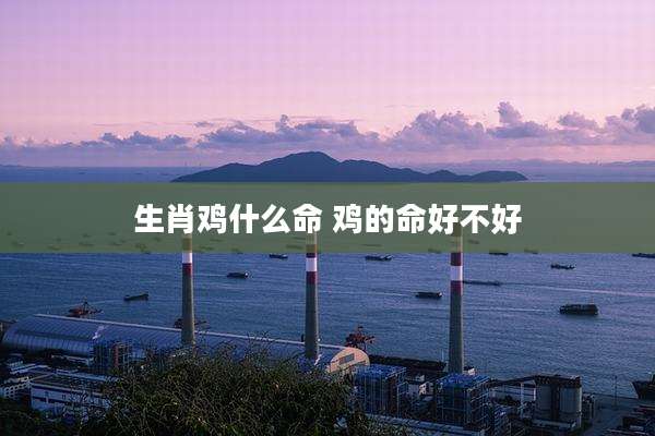 生肖鸡什么命 鸡的命好不好