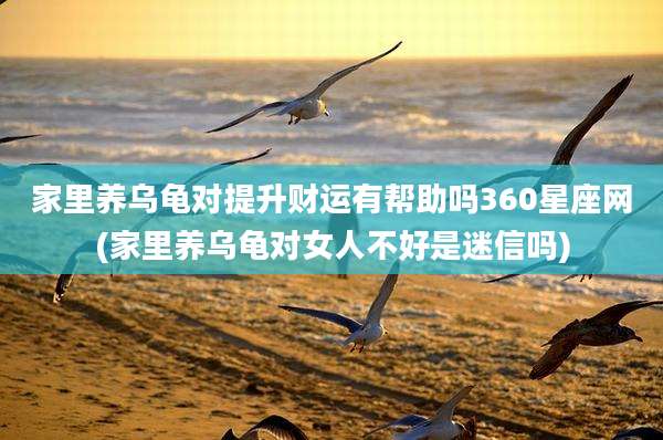 家里养乌龟对提升财运有帮助吗360星座网(家里养乌龟对女人不好是迷信吗)