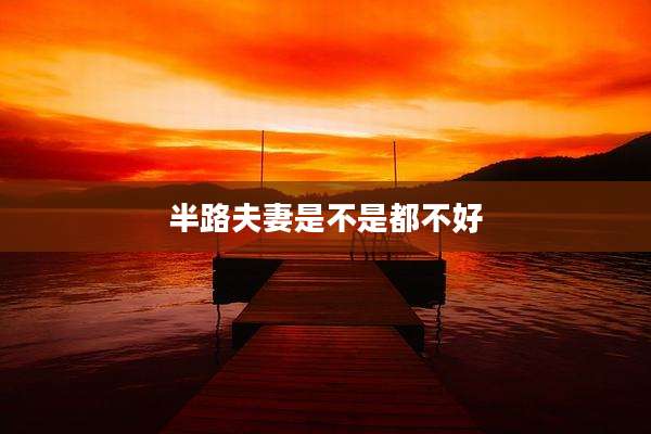 半路夫妻是不是都不好