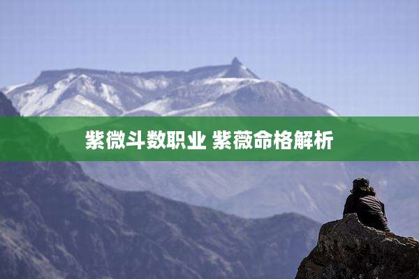 紫微斗数职业 紫薇命格解析