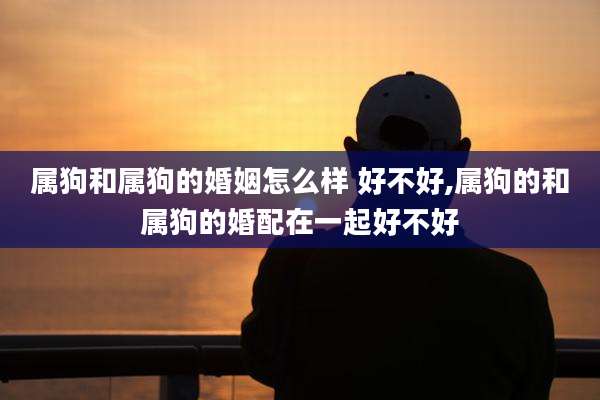 属狗和属狗的婚姻怎么样 好不好,属狗的和属狗的婚配在一起好不好
