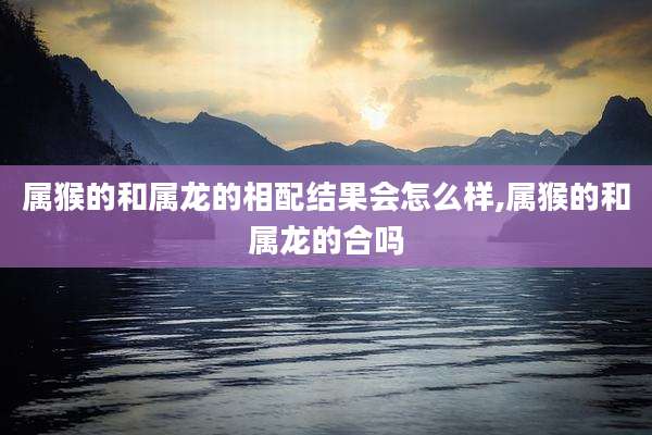 属猴的和属龙的相配结果会怎么样,属猴的和属龙的合吗