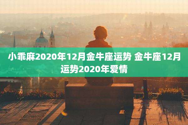小乖麻2020年12月金牛座运势 金牛座12月运势2020年爱情