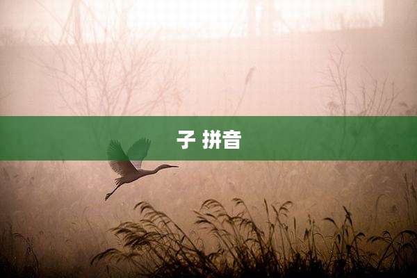 子 拼音
