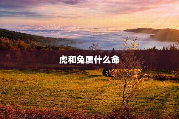 虎和兔属什么命