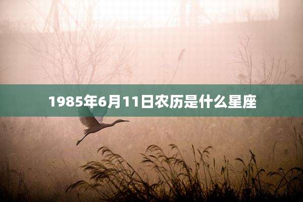 1985年6月11日农历是什么星座