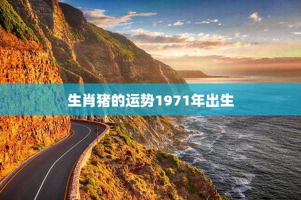 生肖猪的运势1971年出生