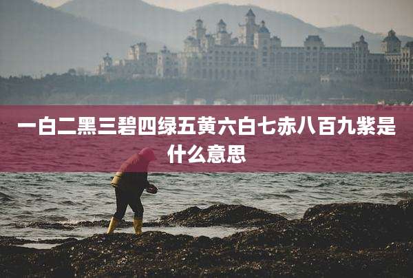 一白二黑三碧四绿五黄六白七赤八百九紫是什么意思