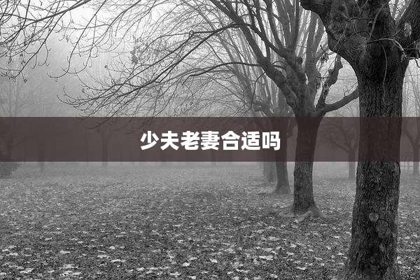 少夫老妻合适吗