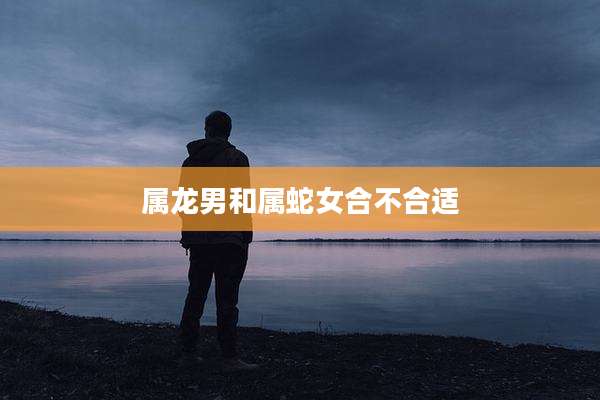 属龙男和属蛇女合不合适