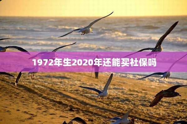 1972年生2020年还能买社保吗