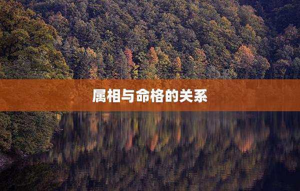 属相与命格的关系