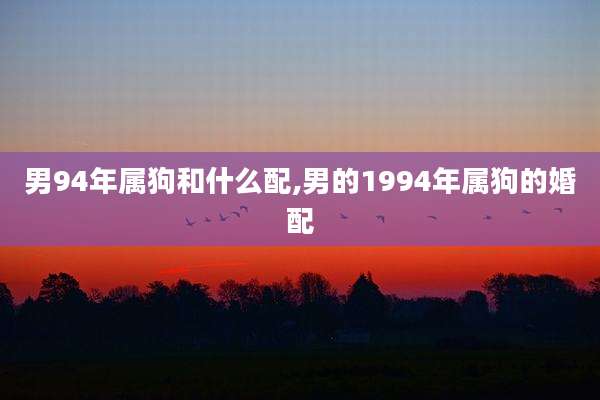 男94年属狗和什么配,男的1994年属狗的婚配