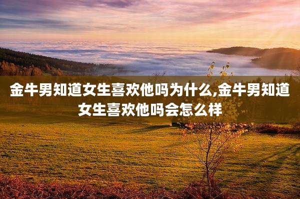 金牛男知道女生喜欢他吗为什么,金牛男知道女生喜欢他吗会怎么样