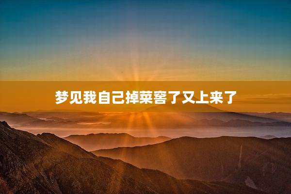 梦见我自己掉菜窖了又上来了