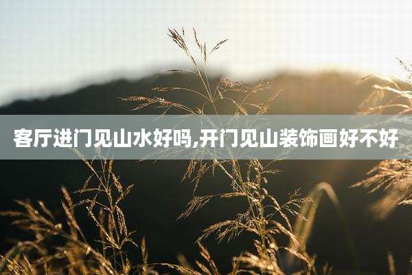 客厅进门见山水好吗,开门见山装饰画好不好