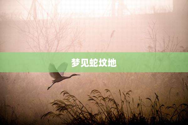 梦见蛇坟地