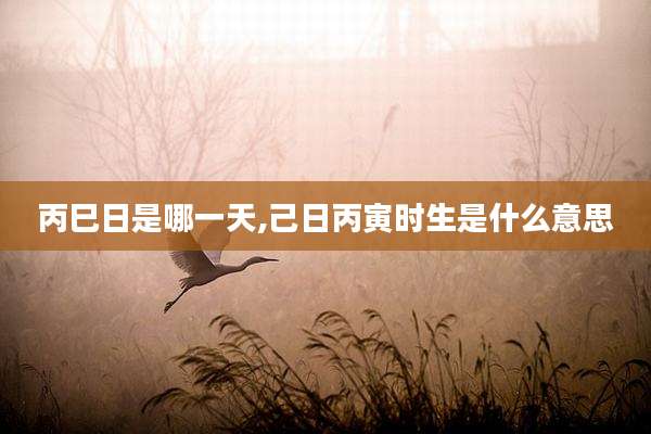 丙巳日是哪一天,己日丙寅时生是什么意思